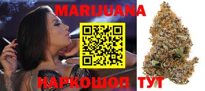 spice Новодвинск