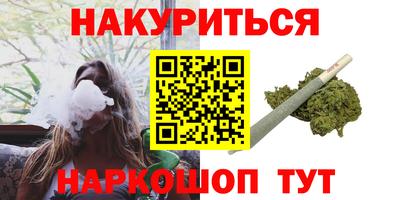 spice Новодвинск