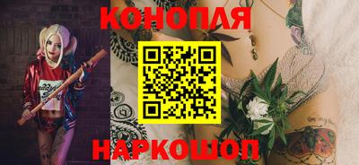 spice Новодвинск