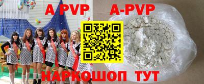 spice Новодвинск