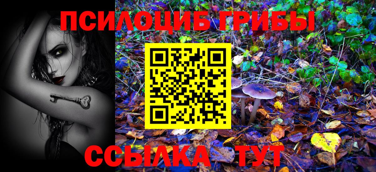 купить наркоту  Вход с VPN  Выкса  Галлюциногенные грибы прущие грибы 